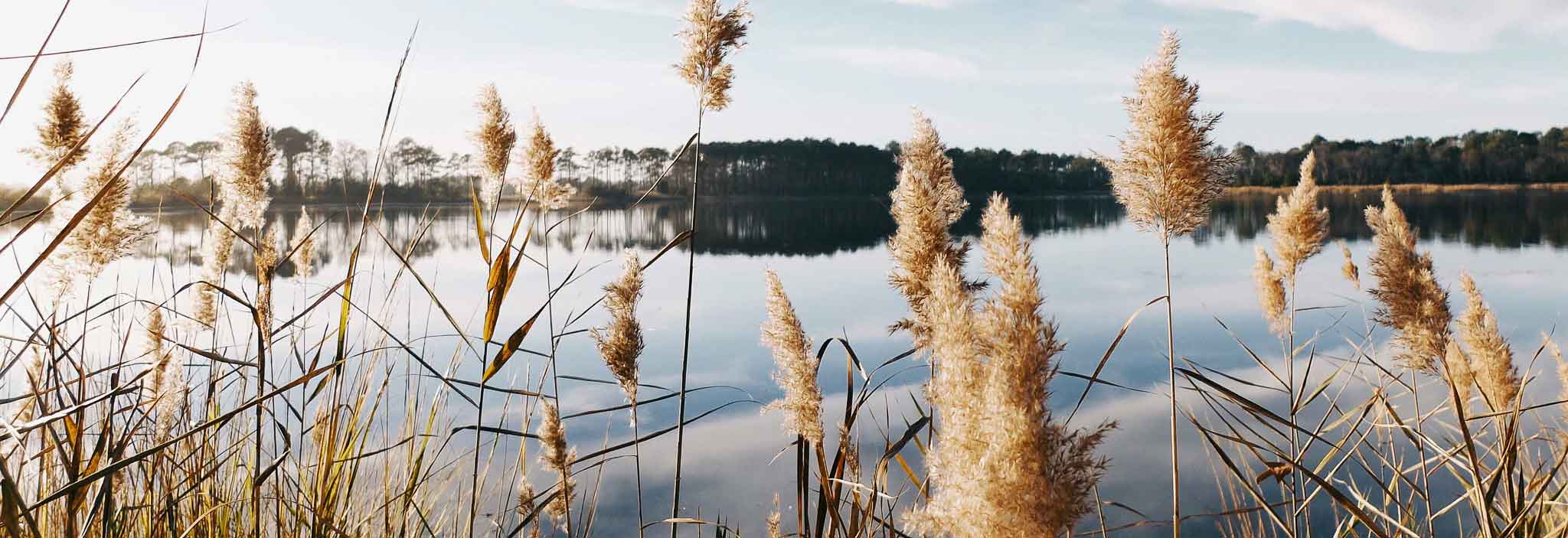 Habitats Regulations Assessment